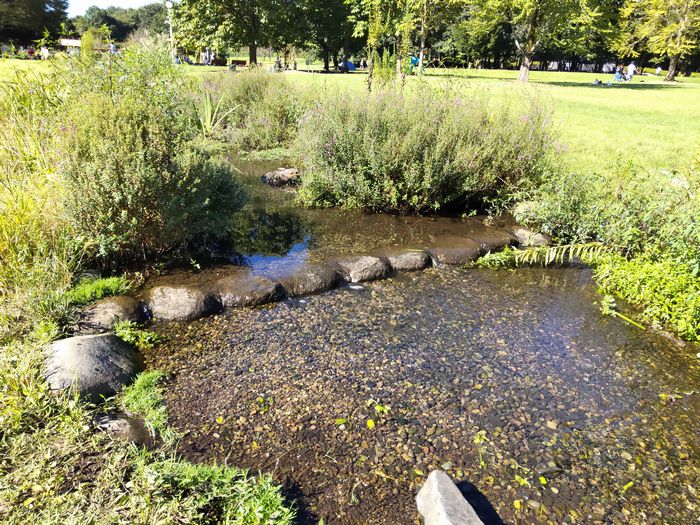 とちぎわんぱく公園　小川