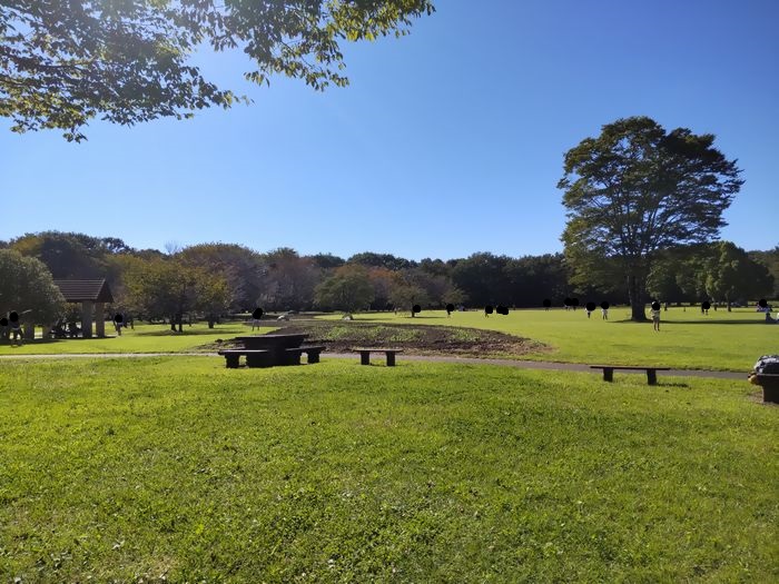 壬生わんぱく公園　芝生広場.jpg